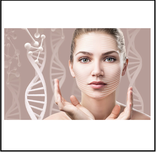 SOMON DNA UYGULAMASI